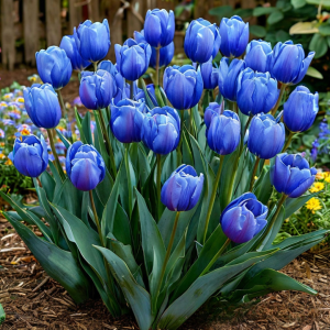 Тюльпан Фентези купить по цене от 210р. в интернет-магазине «Посадика» с доставкой почтой в в Фрязиное и по всей России – [изображение №1].