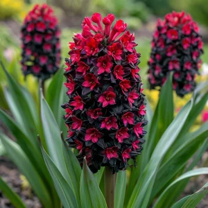 Гиацинт Джем Стоун купить по цене от 2099р. в интернет-магазине «Посадика» с доставкой почтой в в Фрязиное и по всей России – [изображение №1].