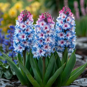 Гиацинт Пинк Мари купить по цене от 2099р. в интернет-магазине «Посадика» с доставкой почтой в в Фрязиное и по всей России – [изображение №1].