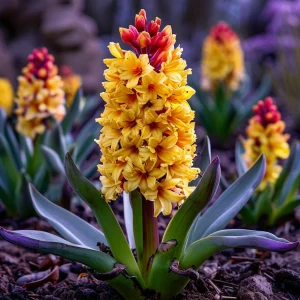 Гиацинт Миднайт Мистери купить по цене от 2099р. в интернет-магазине «Посадика» с доставкой почтой в в Фрязиное и по всей России – [изображение №1].