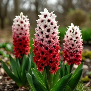 Гиацинт Скай Гарден купить по цене от 2099р. в интернет-магазине «Посадика» с доставкой почтой в в Фрязиное и по всей России – [изображение №1].